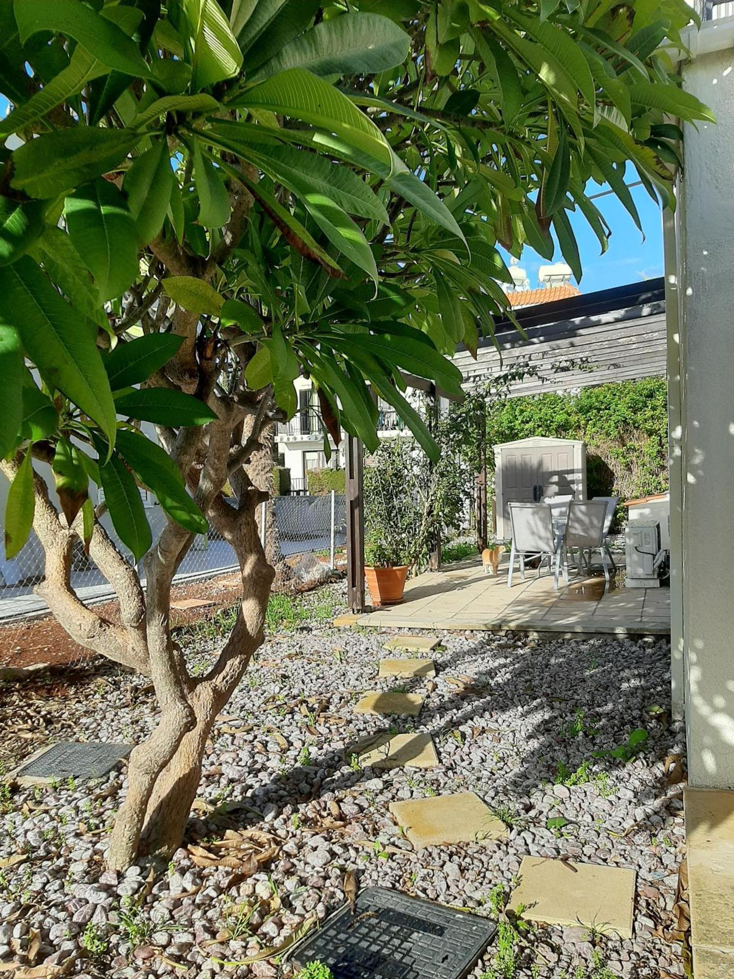 H&O Royal Townhouse In Center Paphos Apartment Bagian luar foto